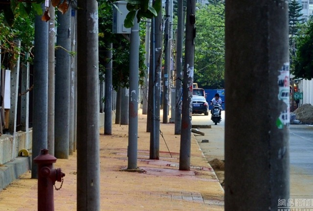 de elelktriciteitspalen