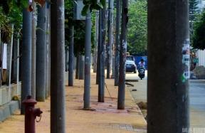 de elelktriciteitspalen