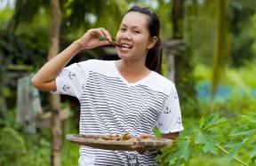eten van insecten insect eten